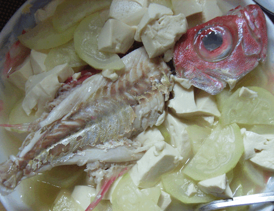 Fish carcass