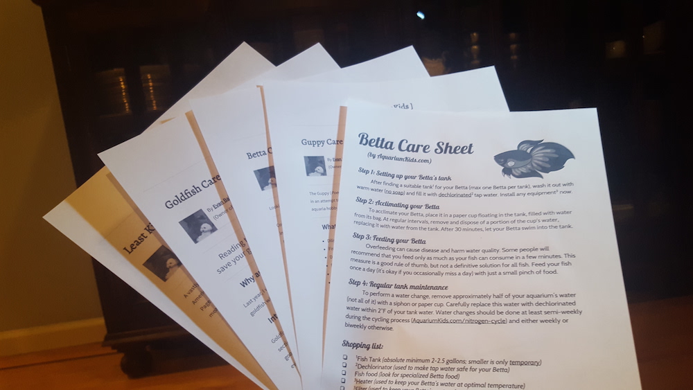 Printed care sheets